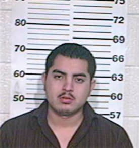 Alvarez Jesus - Hidalgo County, TX 