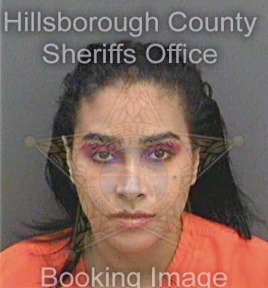 Marquez-Guzman Neshman - Hillsborough County, FL 