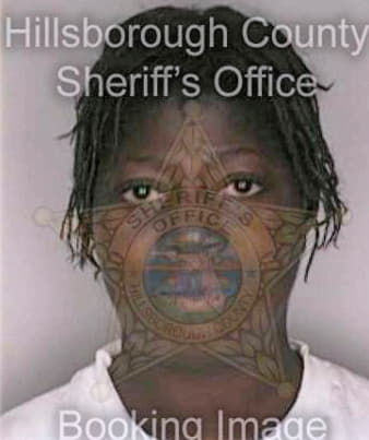 Bivins Beatrice - Hillsborough County, FL 