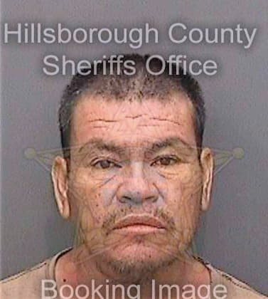Silva Jose - Hillsborough County, FL 