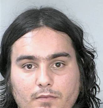 Mcnichol John - Hillsborough County, FL 