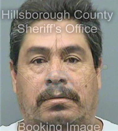 Tellezhernandez Juan - Hillsborough County, FL 