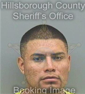 Vazquezortiz Kervin - Hillsborough County, FL 