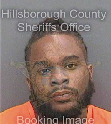 Brookins Roshard - Hillsborough County, FL 