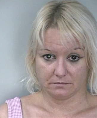 Silver Vicki - Hillsborough County, FL 