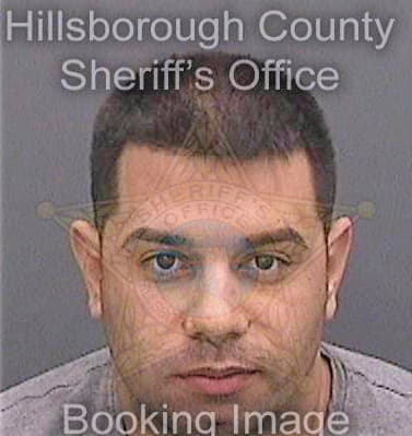 Merinocartaya Ernesto - Hillsborough County, FL 