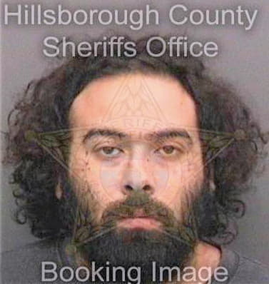 Gonzalez Hector - Hillsborough County, FL 