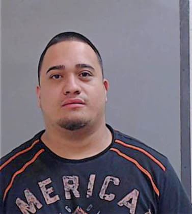 Hernandez Jesus - Hidalgo County, TX 