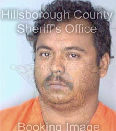 Martinez Jose - Hillsborough County, FL 