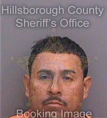 Cruzgarcia Rigoberto - Hillsborough County, FL 