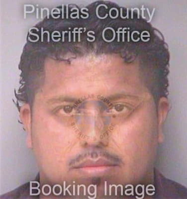 Romero Roberto - Pinellas County, FL 