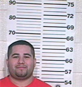 Hernandez Jesus - Hidalgo County, TX 