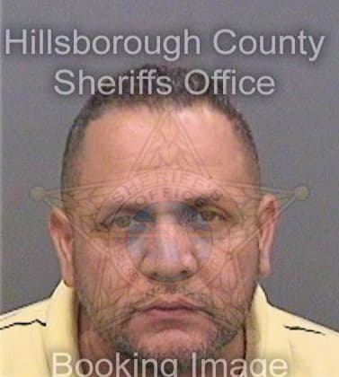 Halaby Hassan - Hillsborough County, FL 