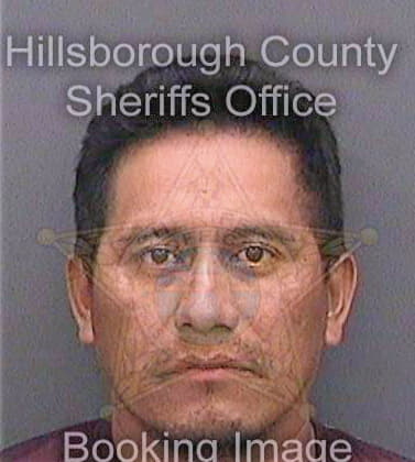 Ramirezlorenzo Valentin - Hillsborough County, FL 