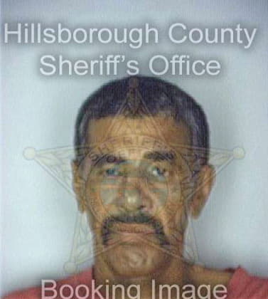 Sierra Luis - Hillsborough County, FL 