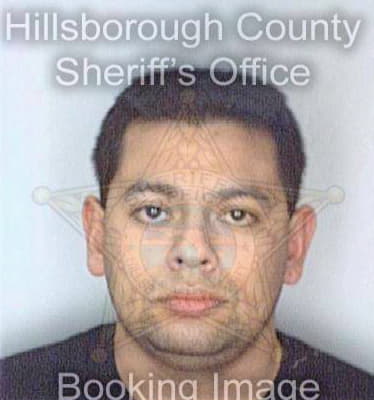 Lopez Mauricio - Hillsborough County, FL 