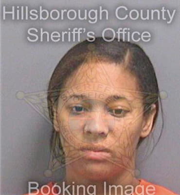 Mcduffie Britney - Hillsborough County, FL 