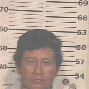 Garcia Enrique - Hidalgo County, TX 