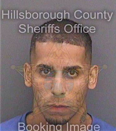 Mendez Angel - Hillsborough County, FL 