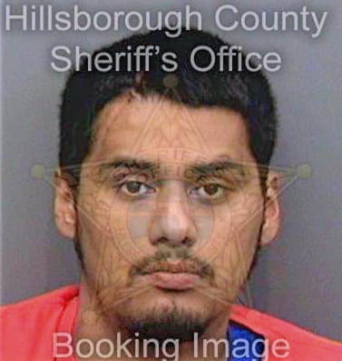 Limon Mario - Hillsborough County, FL 