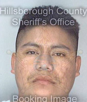 Galvez Adali - Hillsborough County, FL 