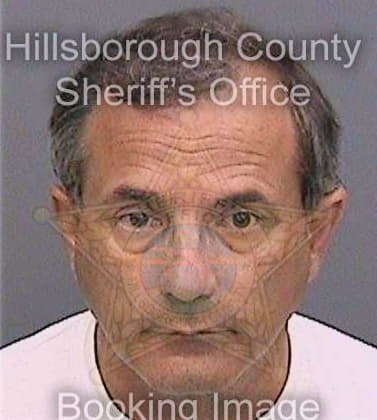 Lucarelli Richard - Hillsborough County, FL 