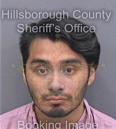 Cruz Freddy - Hillsborough County, FL 