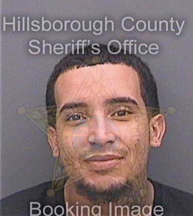 Deleon Michael - Hillsborough County, FL 