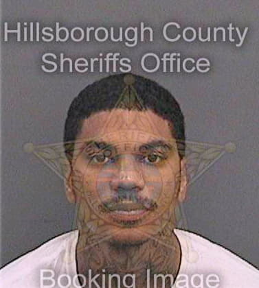 Mcghee Rufus - Hillsborough County, FL 