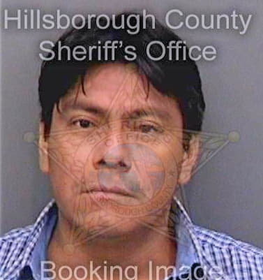 Reyesgonzalez Fransisco - Hillsborough County, FL 