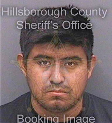 Hernandezfelipe Oscar - Hillsborough County, FL 