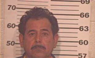 Alaniz Esteban - Hidalgo County, TX 