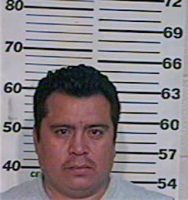 Martinez Mario - Hidalgo County, TX 