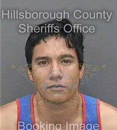 Lazartearteaga Carlos - Hillsborough County, FL 