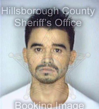 Garcia Miguel - Hillsborough County, FL 