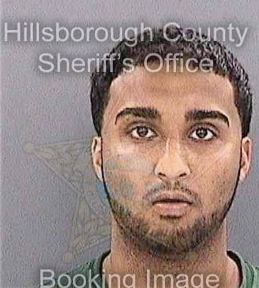 Mathew Arun - Hillsborough County, FL 