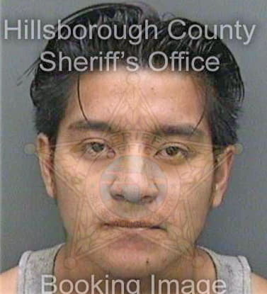 Ramirezvazquez Audiel - Hillsborough County, FL 