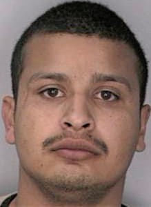Silva Saul - Hillsborough County, FL 