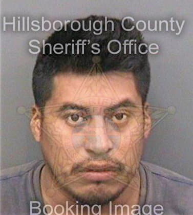 Salinashernandez Lorenzo - Hillsborough County, FL 