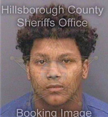 Bretongonzalez Luis - Hillsborough County, FL 