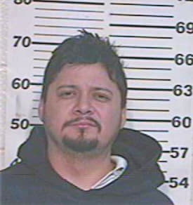 Hernandez Dionicio - Hidalgo County, TX 