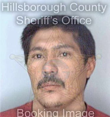 Mercado Oscar - Hillsborough County, FL 