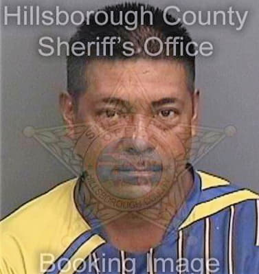 Mendezreyes Elias - Hillsborough County, FL 