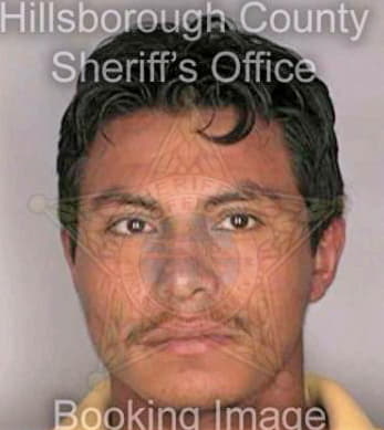 Ramirez Johnny - Hillsborough County, FL 