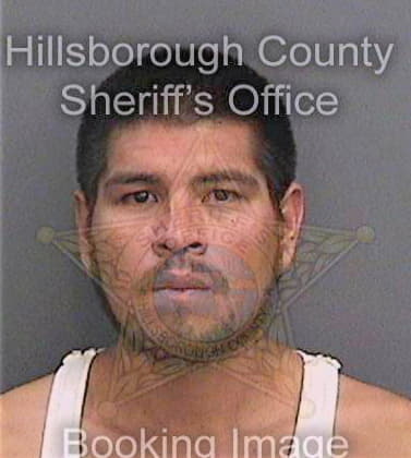 Reynaperez Cesar - Hillsborough County, FL 