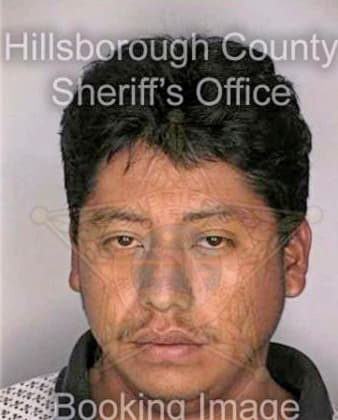 Perez Eduardo - Hillsborough County, FL 