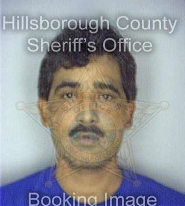 Jaramillo Victor - Hillsborough County, FL 