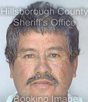 Garcia Lorenzo - Hillsborough County, FL 