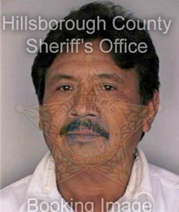 Mendoza Pedro - Hillsborough County, FL 