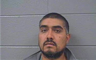 Andrade Ventura - Cook County, IL 